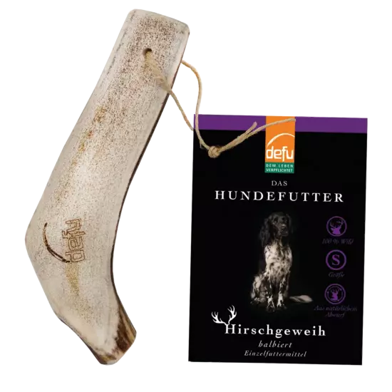 Hund: Hirschgeweih