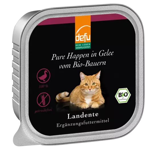 Katze: Landente - Pure Happen in Gelee