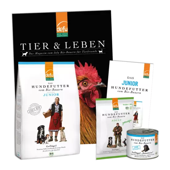 Hund: Probierpaket - Junior