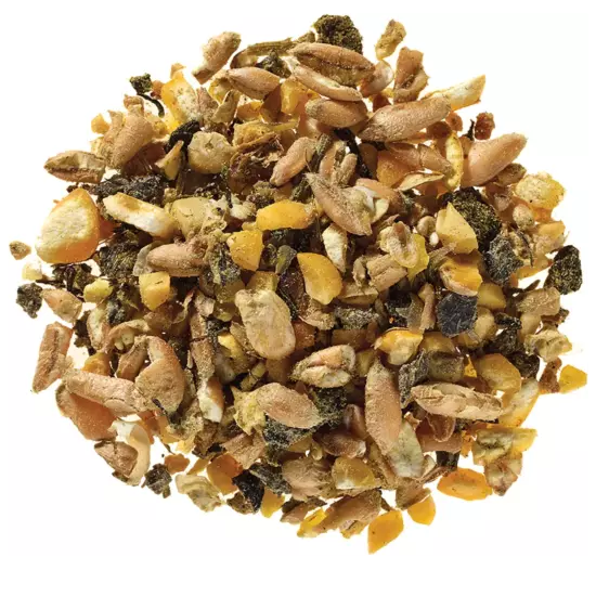 Bio-Alleinfutter für Junghennen