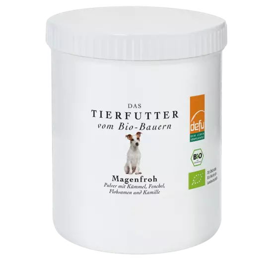 Hund: Magenfroh
