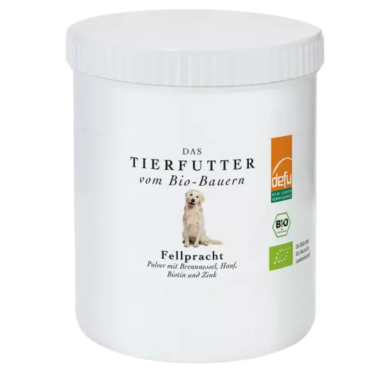 Hund: Fellpracht