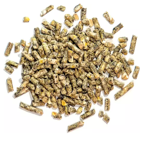 Bio-Alleinfutter für Küken