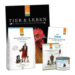 Hund: Probierpaket - Junior