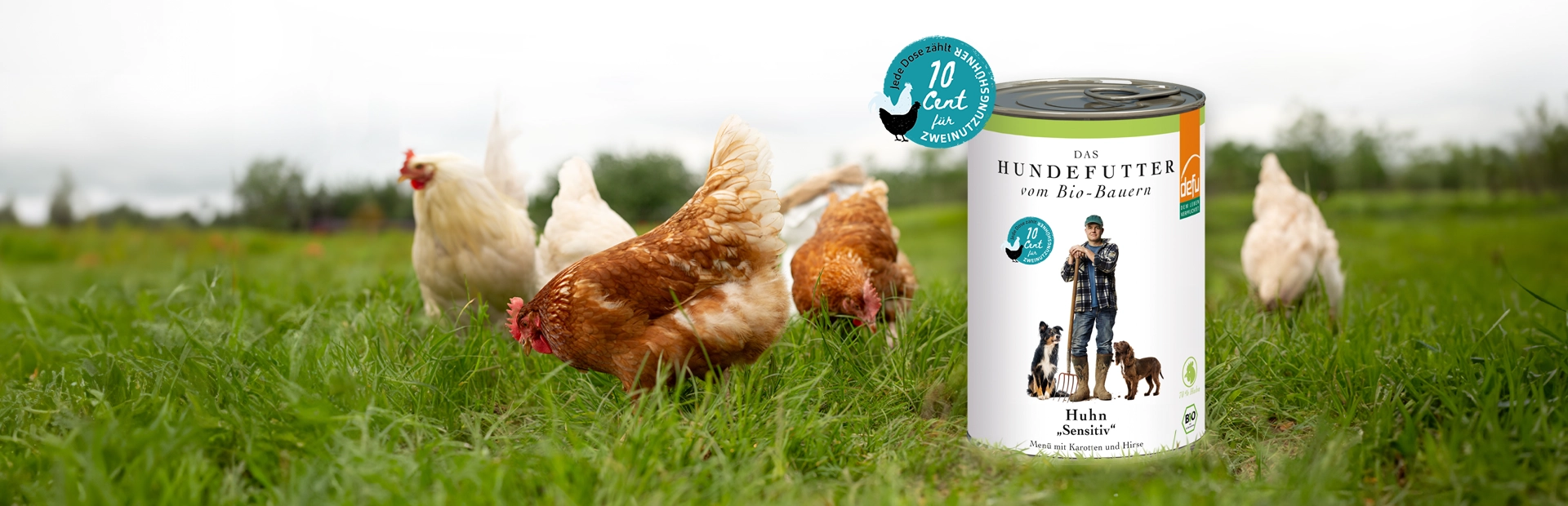 20250704_hund_nass_oetz