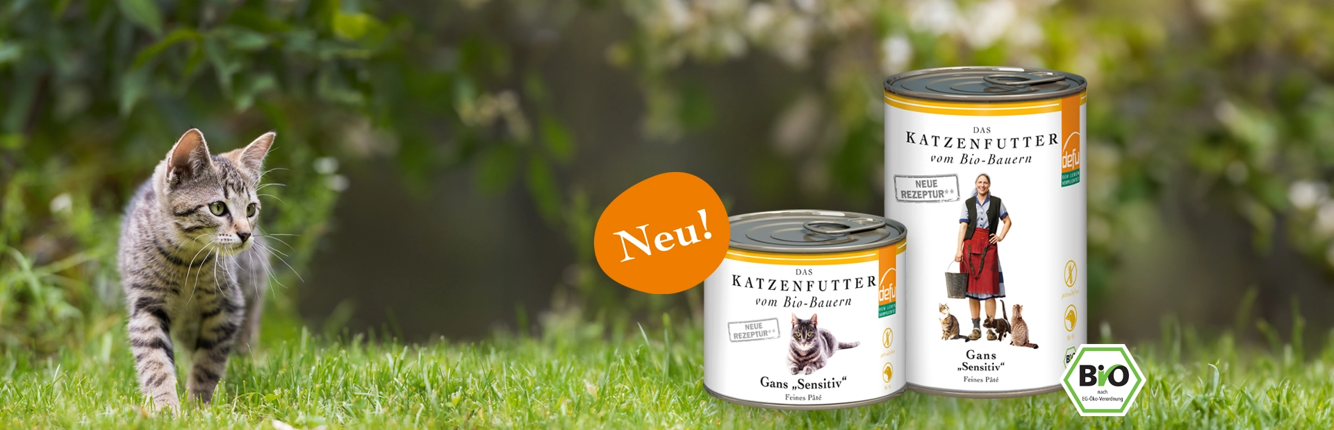 20250704_katze_nass_gans