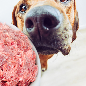 defu Fettfutter für Vögel 1 kg Verpackung